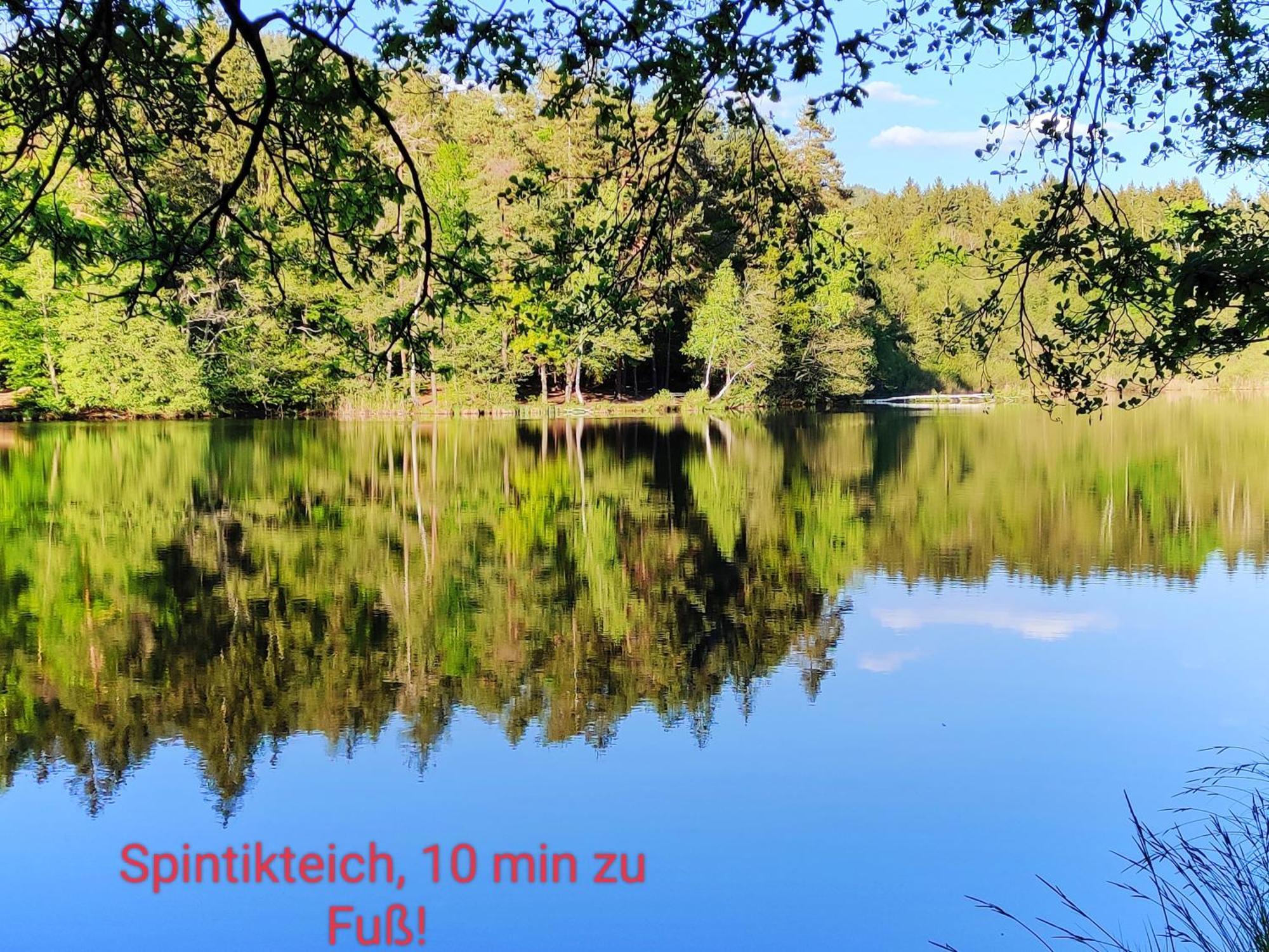 Wellness Apartment Keutschach Lakes Valley Keutschach am See Eksteriør bilde